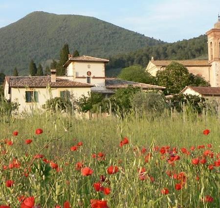 La Palombaia Konuk evi Spoleto Dış mekan fotoğraf