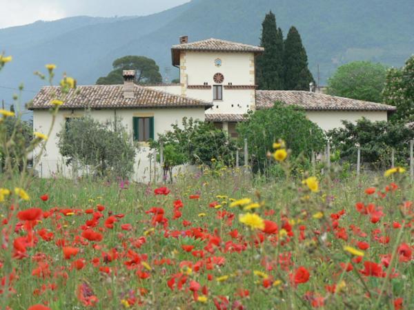 La Palombaia Konuk evi Spoleto Dış mekan fotoğraf